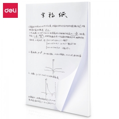 得力73380多功能復(fù)印紙(混)100張/包