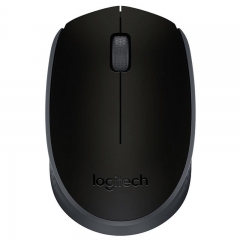 羅技（Logitech） M171 無線辦公鼠標 家用商務對稱鼠標 帶無線2.4G接收器 黑灰