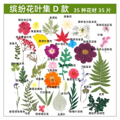 干花diy材料 真花滴膠手工團扇賀卡書簽大花包35片/袋